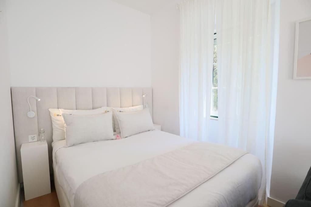 Center Lovely Apartment